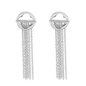 Oorbellen van Stainless steel Roestvrij staal (RVS) oorstekers Silver