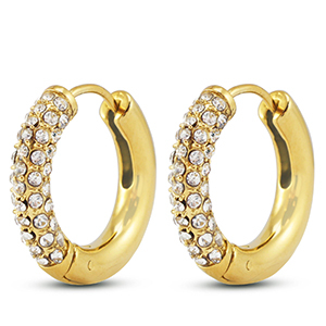 Oorbellen van Stainless steel Roestvrij staal (RVS) creolen Gold