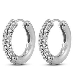 Oorbellen van Stainless steel Roestvrij staal (RVS) creolen Silver