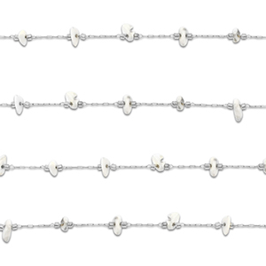 Benodigdheden van Stainless steel Roestvrij staal (RVS) jasseron howliet irregular Silver-white