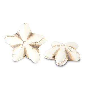 Keramiek kraal starfish Off white