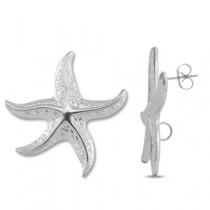 Benodigdheden van Stainless steel Roestvrij staal (RVS) oorbellen / oorsteker starfish with loop Silver