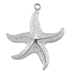 Hangers van Stainless steel Roestvrij staal (RVS) starfish Silver