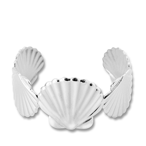 Armbanden van Stainless steel Roestvrij staal (RVS) bangle shell Silver