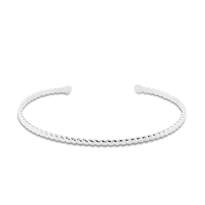 Armbanden van Stainless steel Roestvrij staal (RVS) bangle Silver