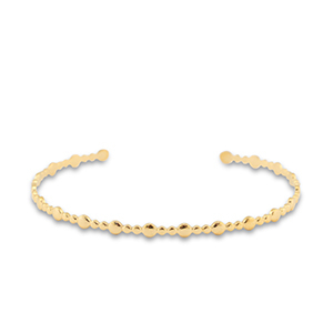 Armbanden van Stainless steel Roestvrij staal (RVS) bangle Gold