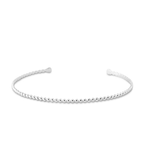 Armbanden van Stainless steel Roestvrij staal (RVS) bangle Silver