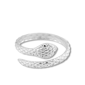 Ringen van Stainless steel Roestvrij staal (RVS) snake Silver