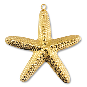 Hangers van Stainless steel Roestvrij staal (RVS) starfish Gold