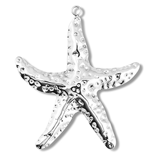 Hangers van Stainless steel Roestvrij staal (RVS) starfish Silver