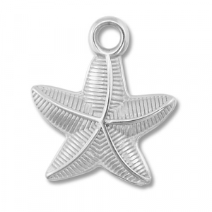 Bedels van Stainless steel Roestvrij staal (RVS) starfish Silver