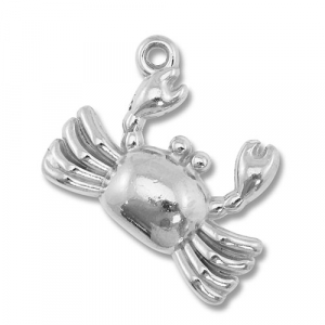 Bedels van Stainless steel Roestvrij staal (RVS) crab Silver