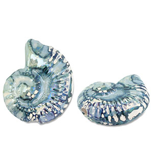 Grieks keramiek DQ shell Green-blue-white