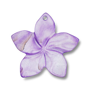Schelp hanger flower Purple