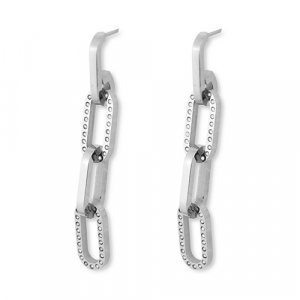 Oorbellen van Stainless steel Roestvrij staal (RVS) chain Silver