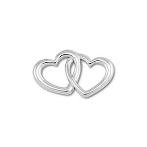 Benodigdheden van Stainless steel Roestvrij staal (RVS) connector heart Silver
