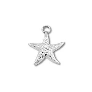 Bedels van Stainless steel Roestvrij staal (RVS) starfish Silver