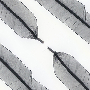 Musthave veters organza Black