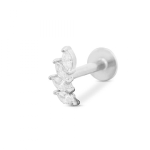 Oorpiercing van Stainless steel Roestvrij staal (RVS) leaf Silver