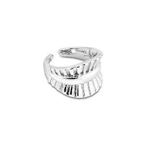 Oorbellen van Stainless steel Roestvrij staal (RVS) ear cuff Silver