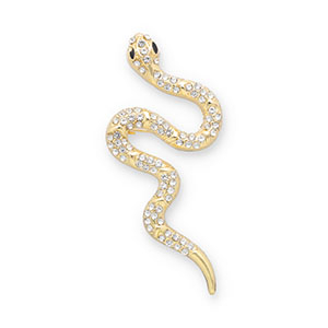 Broches snake Gold-transparent-black
