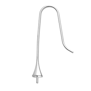 Benodigdheden van Stainless steel Roestvrij staal (RVS) oorbellen / oorhanger met eindkapje Silver