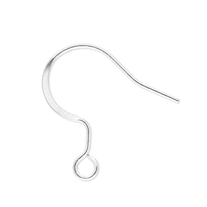Benodigdheden van Stainless steel Roestvrij staal (RVS) oorbellen / oorhanger with loop Silver