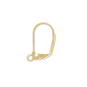 Benodigdheden van Stainless steel Roestvrij staal (RVS) sluitbare oorhanger with loop Gold