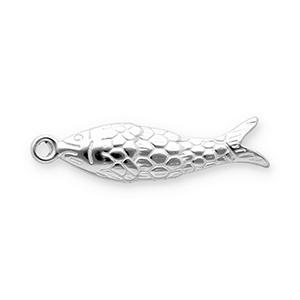 Bedels van Stainless steel Roestvrij staal (RVS) fish Silver