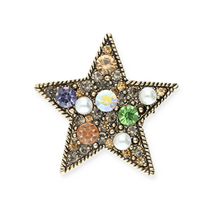 Broches star Gold-black-multicolour