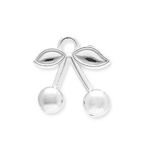 Bedels van Stainless steel Roestvrij staal (RVS) cherries Silver