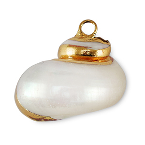 Schelp hanger special Snail Pearl white-gold