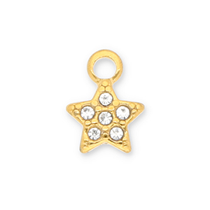 Bedels van Stainless steel Roestvrij staal (RVS) star with strass Gold-transparent