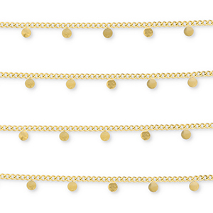 Benodigdheden van Stainless steel Roestvrij staal (RVS) jasseron with coins Gold