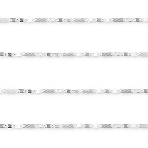 Benodigdheden van Stainless steel Roestvrij staal (RVS) jasseron figaro link Silver