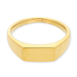 Ringen van Stainless steel Roestvrij staal (RVS) with rectangle Gold