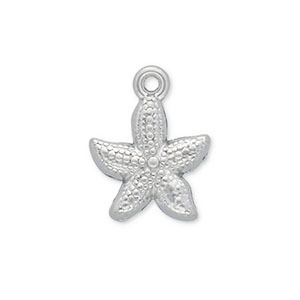 Bedels van Stainless steel Roestvrij staal (RVS) starfish Silver