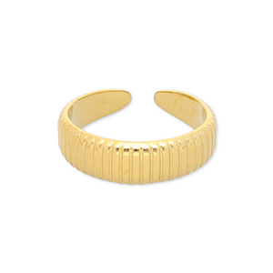 Ringen van Stainless steel Roestvrij staal (RVS) with lines Gold