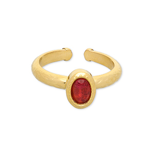 Ringen van Stainless steel Roestvrij staal (RVS) Gold-red