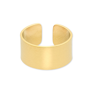 Ringen van Stainless steel Roestvrij staal (RVS) Gold