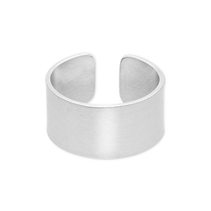 Ringen van Stainless steel Roestvrij staal (RVS) Silver