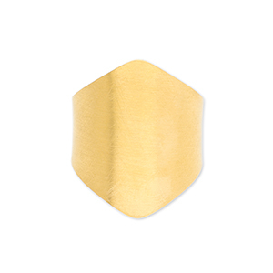 Ringen van Stainless steel Roestvrij staal (RVS) Gold