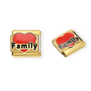 Italian charms losse schakels van Stainless steel Roestvrij staal(RVS) heart "Family" Gold-red-black