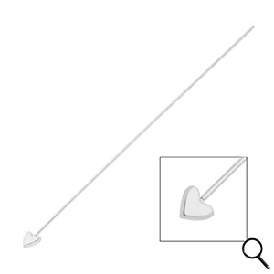 BY31&reg; Benodigdheden van Stainless steel Roestvrij staal (RVS) nietstiften with heart 70mm Silver