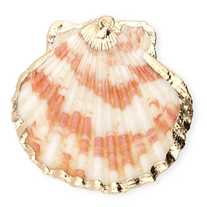 Schelp hanger special scallop Dark pink-gold