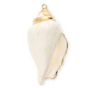 Schelp hanger special whelk White-gold