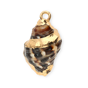 Schelp hanger special whelk Brown-gold