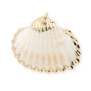 Schelp hanger special scallop White-gold
