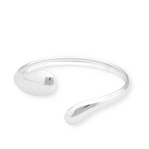Armbanden van Stainless steel Roestvrij staal (RVS) bangle Silver