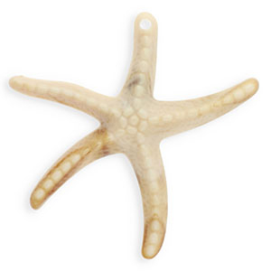 Acryl hangers starfish Beige-brown